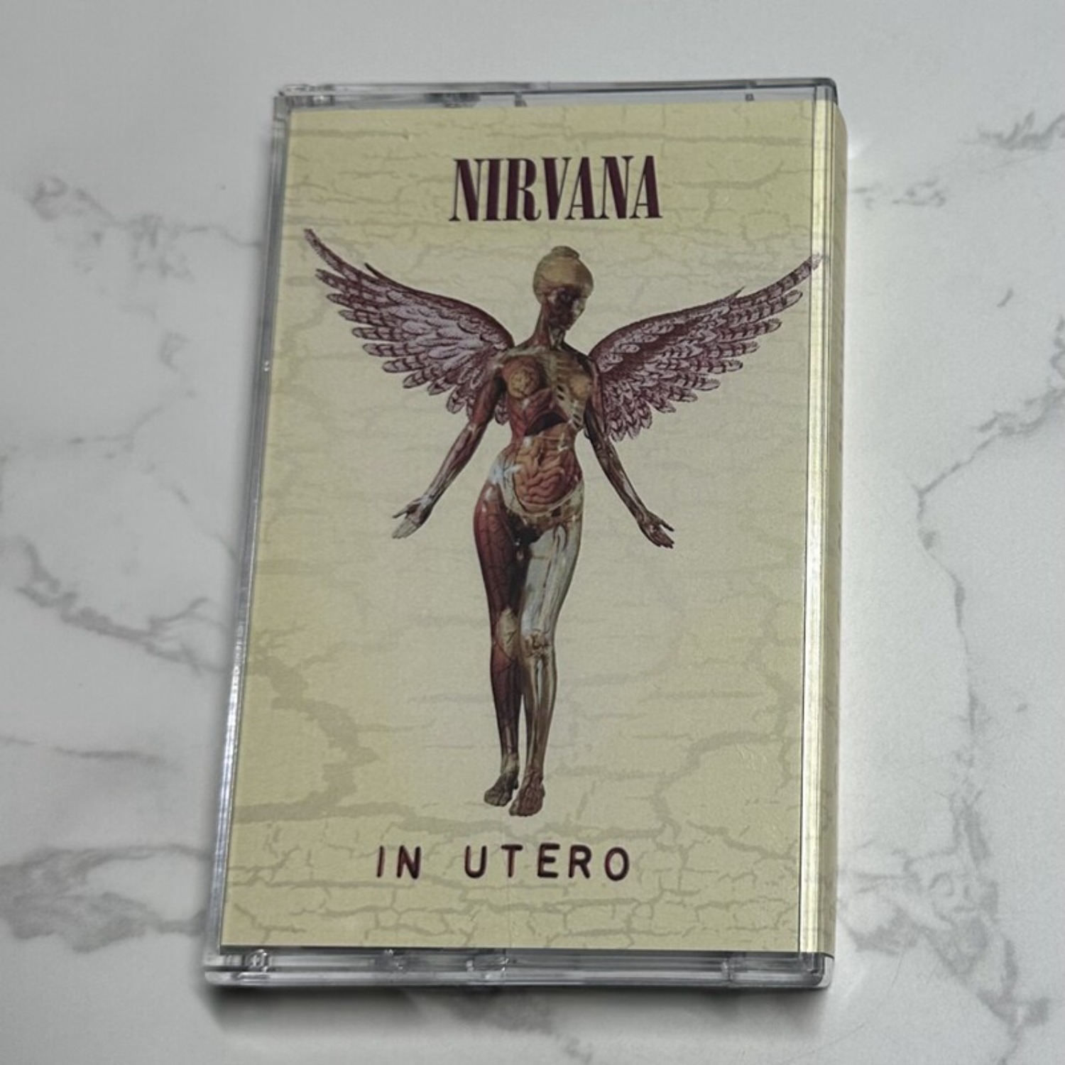 Coleção Completa de Álbuns em  - Vintage Collectibles avaliação e preço